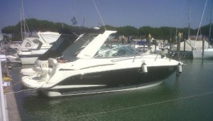2009 Monterey-295 SCR for sale in Italy - A great boat to get you on the water in this summer