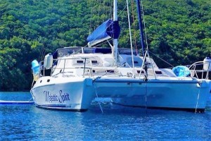 2011 Royal Cape Catamarans Majestic 530 for sale in Antigua