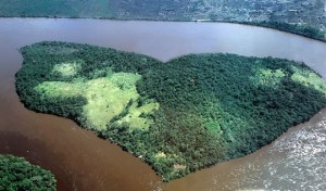 Heart-shaped Island, Orinoco River, Venezuela